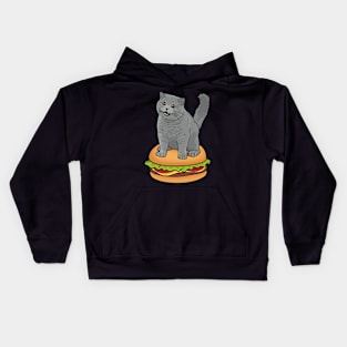 I CAN HAS CHEEZBURGER chubby meme cat Kids Hoodie